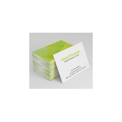 Biglietti da visita 150pz